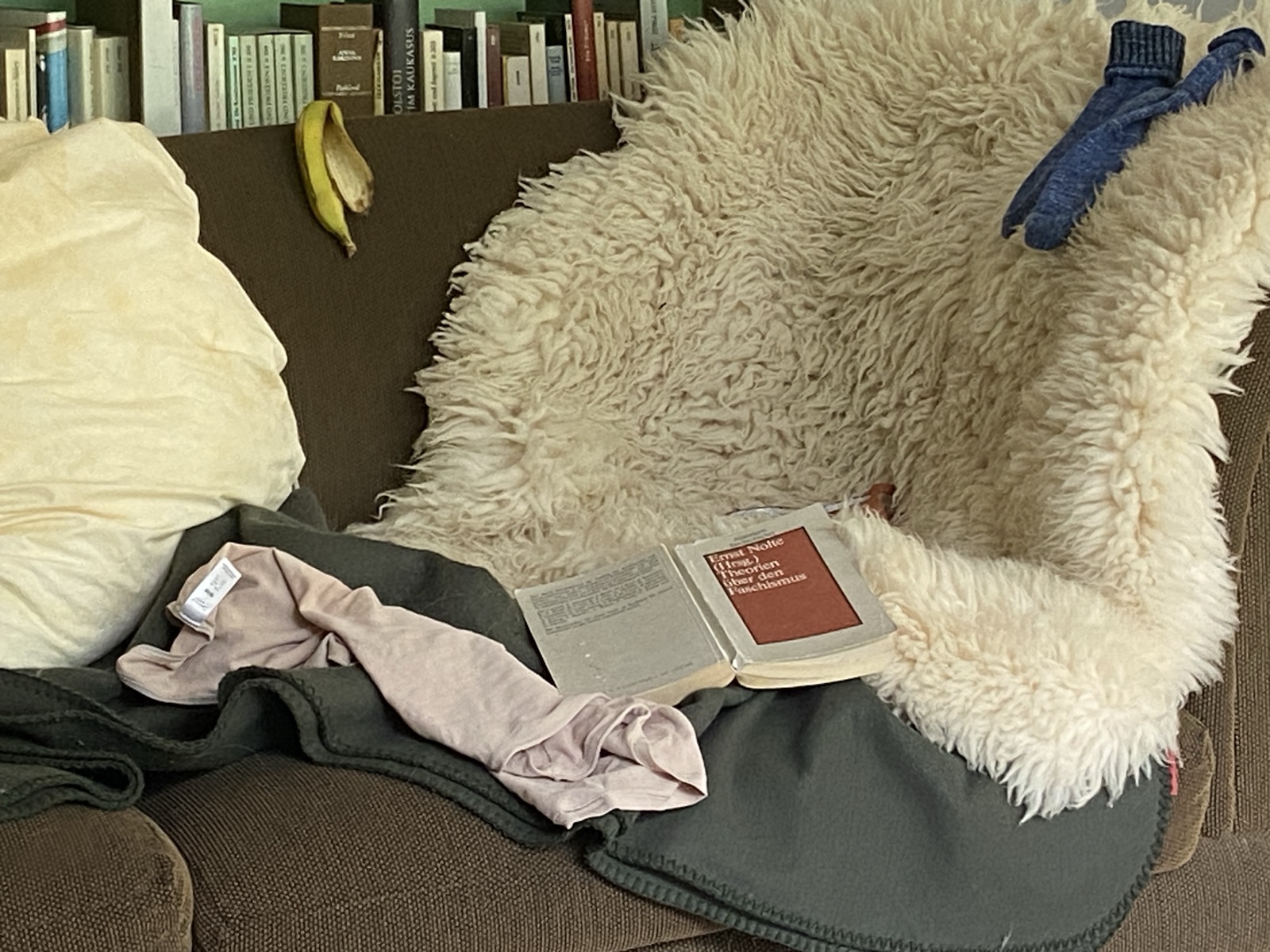 Die aufschlussreiche Lust, anderen Lust am Faschismusvorwurf vorzuwerfen
